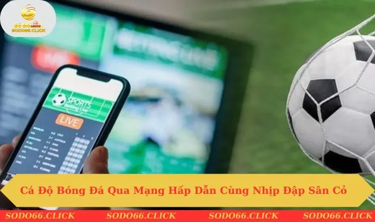 Cá độ bóng đá