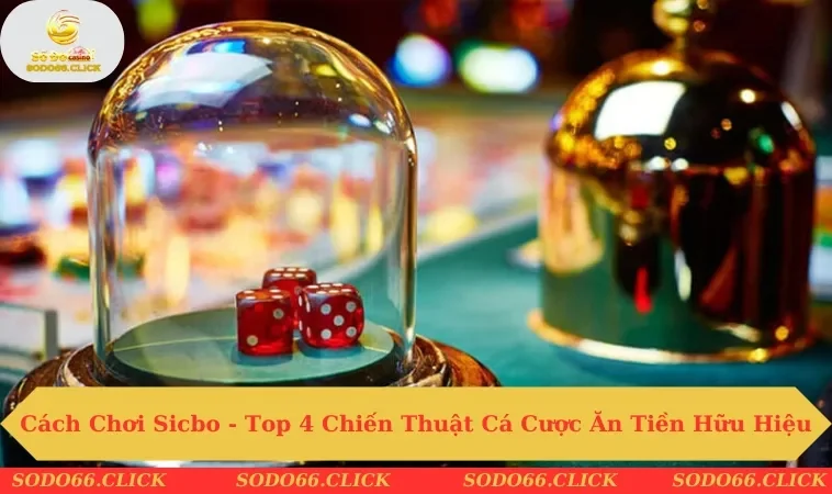 Cách chơi sibo