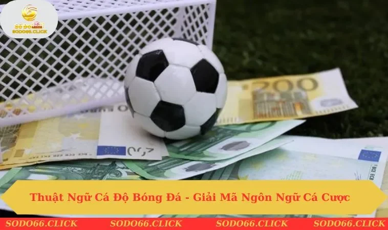 thuật ngữ cá độ bóng đá
